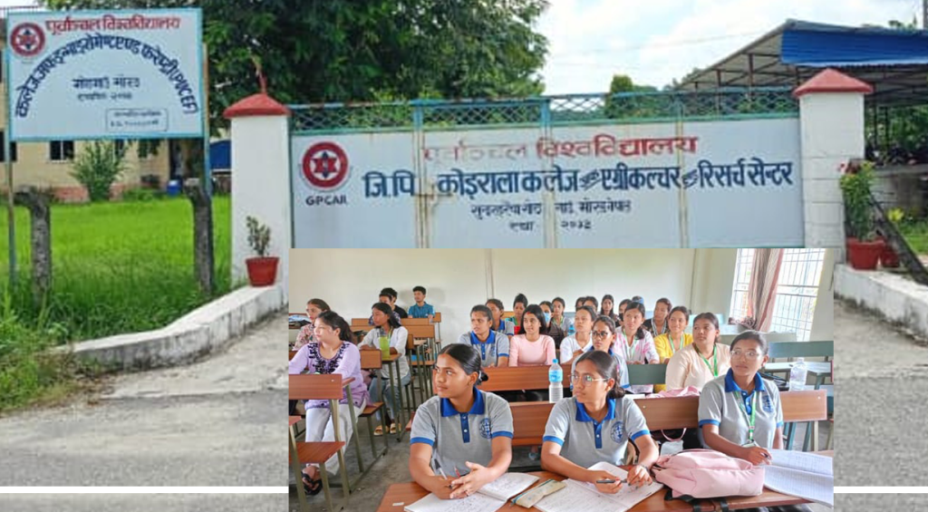 पूर्वाञ्चल विश्वविद्यालयको GPCAR र PUCEF का स्नातक तहका कार्यक्रमका लागि भर्ना खुल्यो