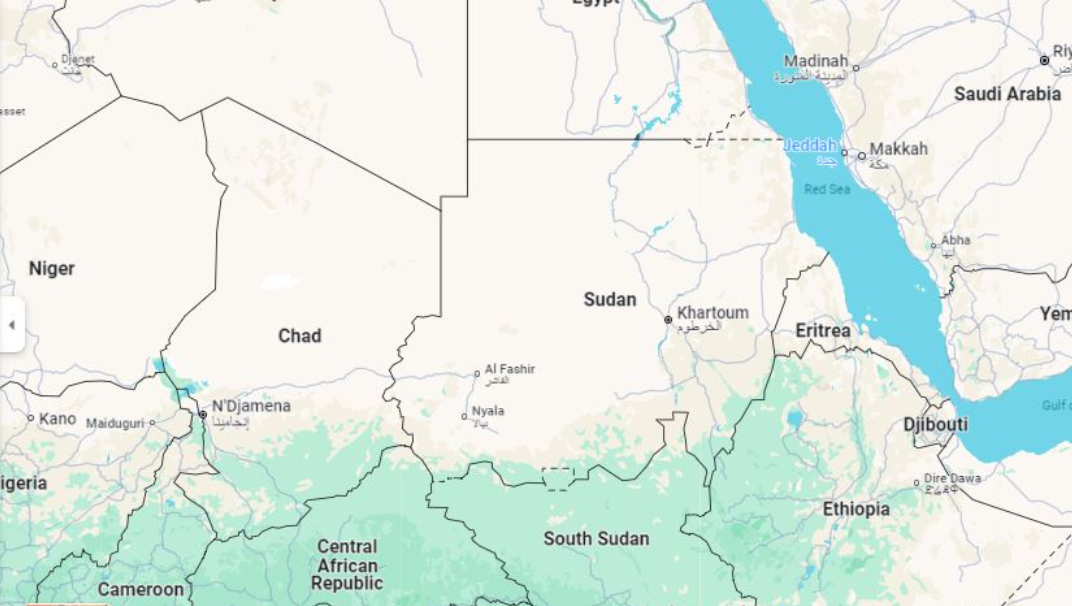 सुडानका ३० लाखभन्दा बढी मानिस हैजाको जोखिममा