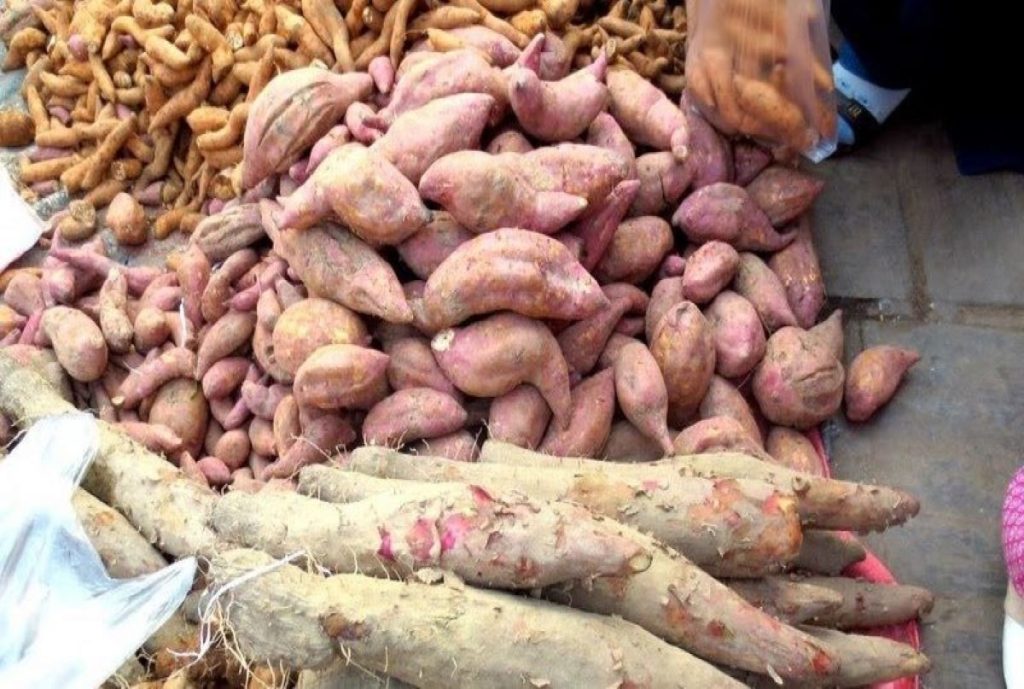 माघे सक्रान्ति नजिकिएसँगै सखरखण्डर र पिँडालुको मूल्य उच्च