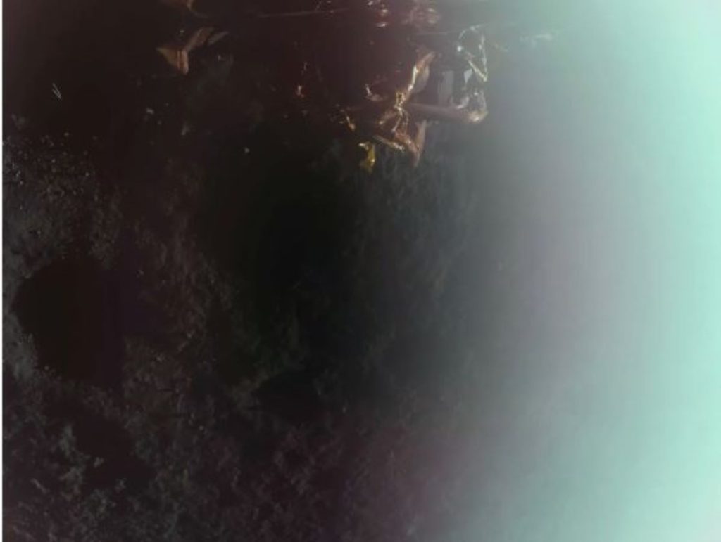 Firefly’s Blue Ghost lander successfully lands on the moon