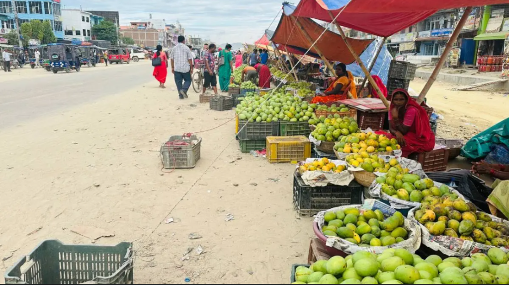 आँपको सुवासले मगमगाइरहेको छ सिरहा, चिस्यान केन्द्र नहुँदा समस्या