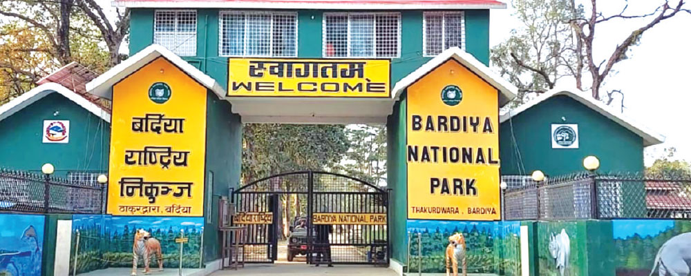 Tiger census underway in Bardiya, Banke and Dang