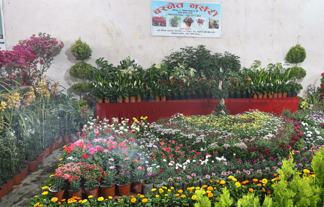 काठमाडौंको भृकुटीमण्डपमा फ्लोरा एक्स्पो सुरु (फोटोफिचर)