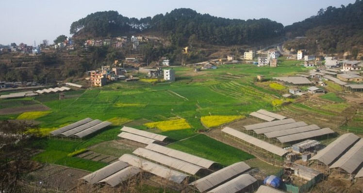 घरजग्गा कारोबार तीन वर्षयताकै उच्च, मधेश प्रदेशको हिस्सा सबैभन्दा उच्च