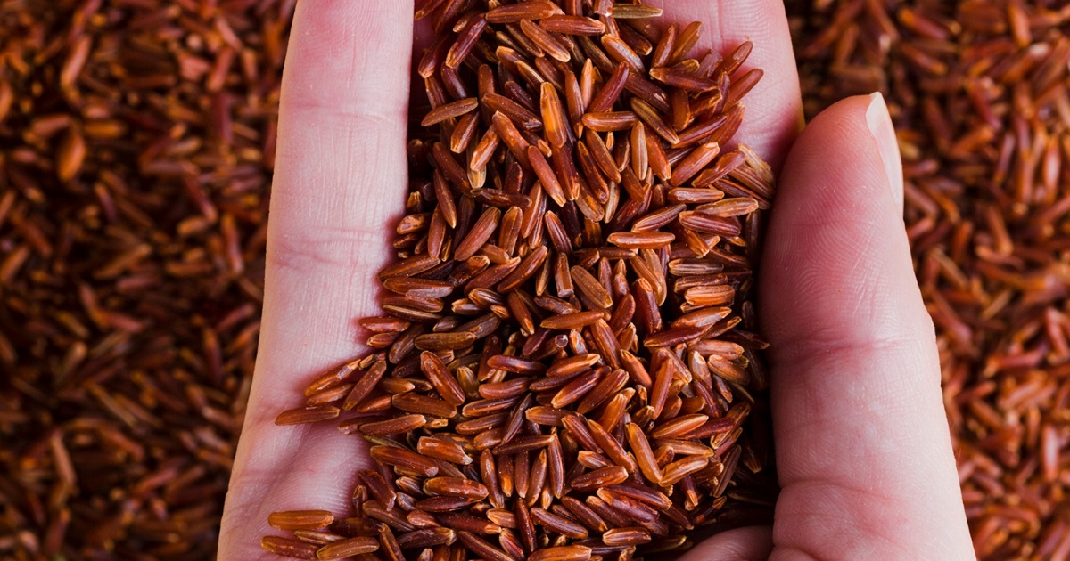 जुम्लाबाट एक वर्षमा तीन करोड बढी मूल्यको मार्सी चामल बिक्री