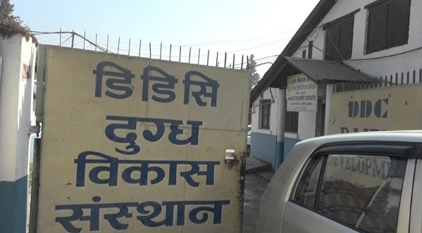 डीडीसीले किसानको भुक्तानी ७२ करोडबाट ३५ करोडमा झार्‍यो